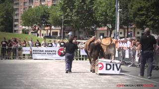 Euskal Herriko festak, biolentzia eta tortura. || Fiestas de Euskal Herria: Violencia y tortura.