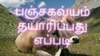 பஞ்சகவ்யம் தயாரிப்பது எப்படி