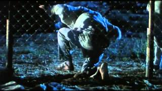 Код удачи ☯ The Fortune Code - Alan Tam, Andy Lau