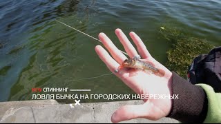 Ловля бычка на городских набережных. "NEW Спиннинг". 1 серия