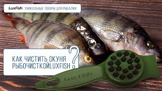 Как легко и быстро почистить окуня рыбочисткой Luxfish