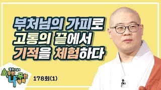 부처님의 가피로 고통의 끝에서 기적을 체험하다-광우스님의 소나무 178회(1)