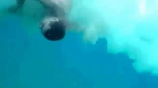 ДОИГРАЛСЯ !!! Порубило винтом от лодки