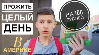 ПРОЖИТЬ ЦЕЛЫЙ ДЕНЬ - НА 100 РУБЛЕЙ В АМЕРИКЕ - Проверяем SlivkiShow