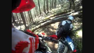 Taylor Creek Riding