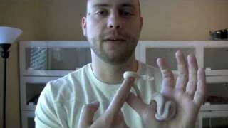 Boa Constrictor Morph Profiles - Sharp Snow - Sara
