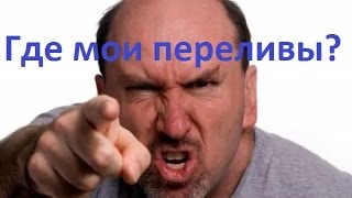 BTCHAMP Самые частые вопросы.