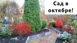 Сад для души в октябре