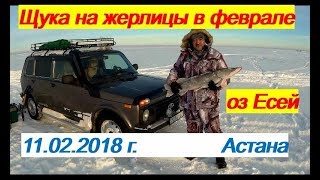 Щука на жерлицы,в феврале,оз.Есей,зимняя рыбалка в Астане,Казахстан.