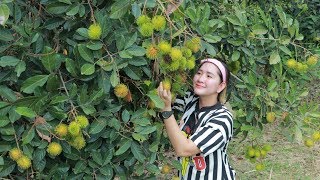 Yummy Rambutan Dessert - Picking Rambutan At Farm - Cooking With Sros