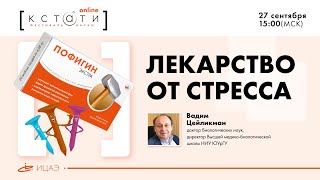 Public Talk "Лекарство от стресса" I Вадим Цейликман
