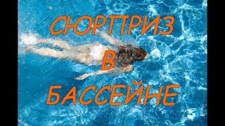 Летние игры Сюрприз в Бассейне Поиск Предметов Челлендж