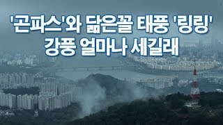 '링링' 뜻은 '홍콩의 귀여운 소녀'…강풍 얼마나 세길래 [포커스]