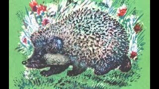 Открытое занятие по развитию речи .МДОУ №51 воспитатель Шершнева А.В.