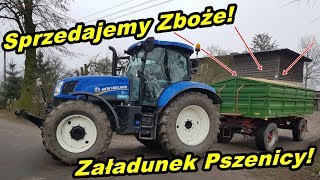 Załadunek pszenicy | Sprzedaż zboża | Giełda i ceny | Parametry 2020