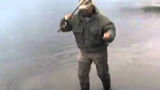 Watch Спиннинг  Banax New Tinfish Длина 2,74, Тест 7 - 28 Гр - Куплю Спиннинг