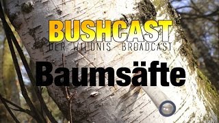 Bushcast 06 - Birkensaft, Buchensaft und Ahornsaft