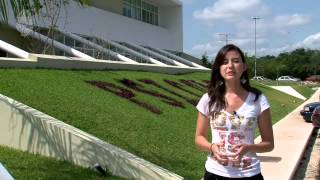 Entrevistas a Estudiantes Extranjeros de la UADY