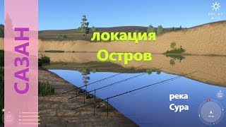 Русская рыбалка 4 - река Сура - Сазан с островка