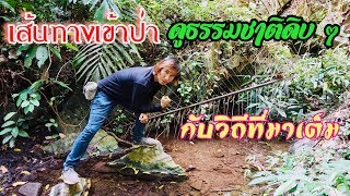 บ้านไร่หนาวที่สุดในภาคกลาง EP4 เส้นทางเข้าป่าดูธรรมชาติดิบ ๆ กับวิถีที่มาเต็ม