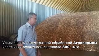 Отзыв клиентов. Саратовская область.
