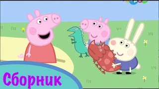 Свинка Пеппа сборник 14