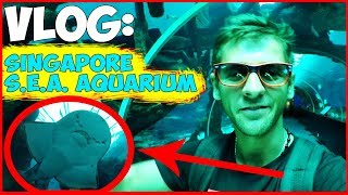 VLOG МОРЯКА | ШОК ОТ УВИДЕННОГО - СИНГАПУР АКВАРИУМ КИШИТ БОГ ЗНАЕТ ЧЕМ.