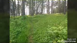 Поездка в Верещагино, ужасноя жара
