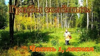 Солёные грибы. Как засолить грибы. Видео рецепты от бабки (Борисовны). Часть 1. Лесная.