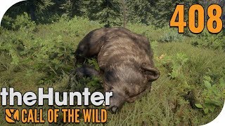 THE HUNTER: CALL OF THE WILD #408 - EIN GRIZZLY NACH LANGER ZEIT! ? || PantoffelPlays