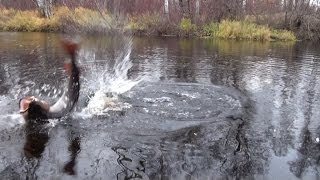 Таймень