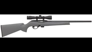 Remington 597 (мелкашка, .22 LR) - винтовка глазами владельца