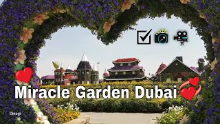 Miracle Garden Dubai ?? Gina's World Records (?️ 02)