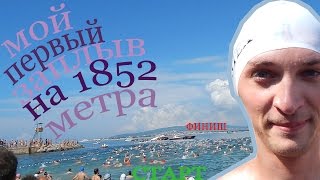 Выпуск 114 Геленджик LIFE Морская миля 2016 Мой первый заплыв на 1852метра