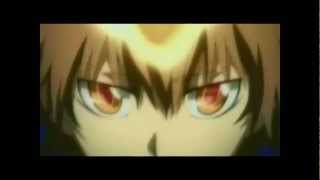 ~Katekyo Hitman Reborn~ AMV - Zebrahead