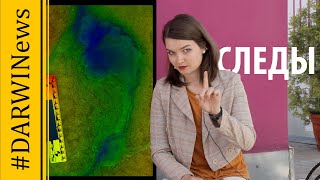Самая большая находка следов! Елена Сударикова 