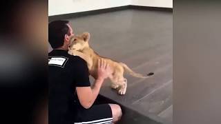 СМЕШНЫЕ ВИДЕО ПРИКОЛЫ 2018 ДО СЛЕЗ   CATS DOGS KIDS PEOPLE #12