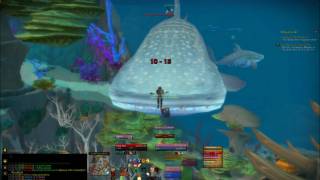 How to tank and kill Whale Shark