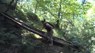 Лес Тюрингии/Горы/Озеро/Природа Германии/Туристические места