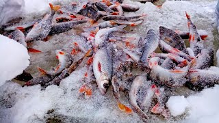 Рыбалка в ГЛУХОЗИМЬЕ в СИБИРИ, но РЫБУ МЫ НАШЛИ | Река Чулым