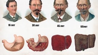Легко бросить пить аллен карр скачать бесплатно