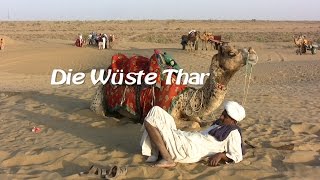 Rajasthan - Rundreise HD -  (4/16) -  Kamele und Tanz in der Wüste