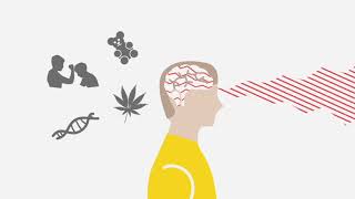 Iedereen heeft psychotische ervaringen