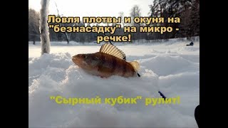 Ловля плотвы и окуня на "безнасадку" на "микро - речке"! "Сырный кубик рулит"!