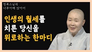 힘든 인생에 월세를 치르느라 고생한 당신을 위로하는 시간을 선사합니다[정목스님의 나무아래 앉아서 319-1]
