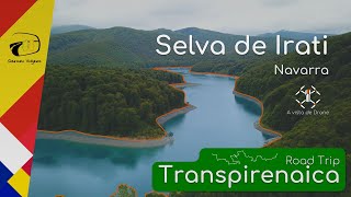 Selva de Irati Navarra a vista de Drone 4K - #Ruta #Senderismo #RoadTrip #Transpirenaica #Irati