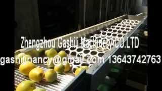 Fruit Grading Machine-Huyou Grading Machine Fruit Sorting Machine