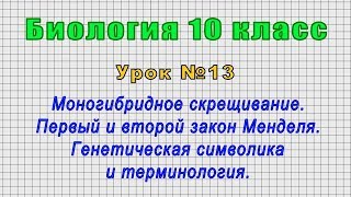 Биология 10 класс (Урок№13 - Моногибридное скрещивание. Первый и второй закон Менделя.)
