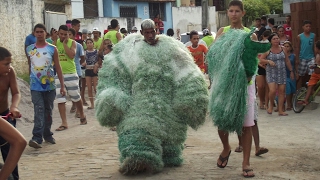 Carnaval Fora de Época (Ala Ursa Acorda Várzea Nova)
