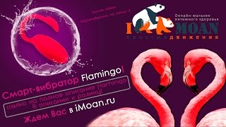 Обзор функционала вибратора Flamingo на русском языке
